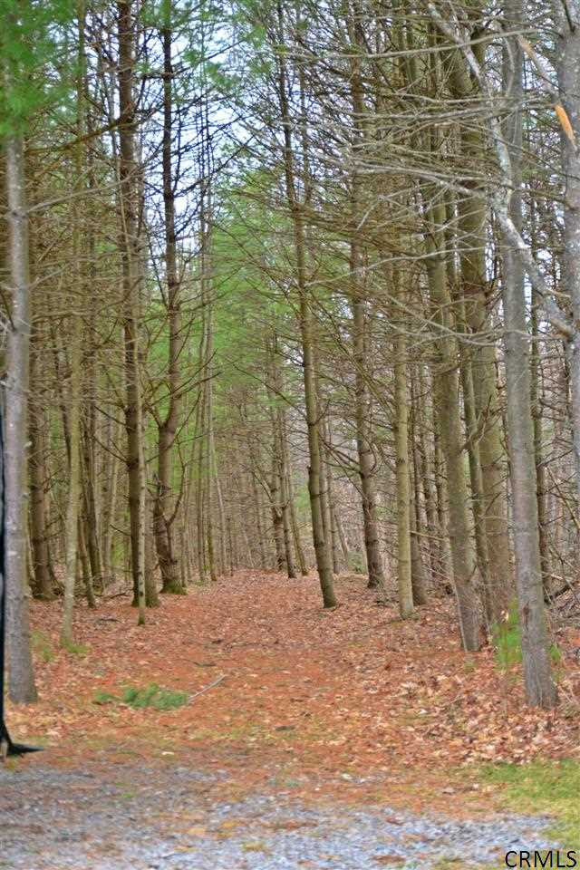 6347 Benzal Road Middle Grove, NY 12850 - Photo 23 of 24 Photo 23