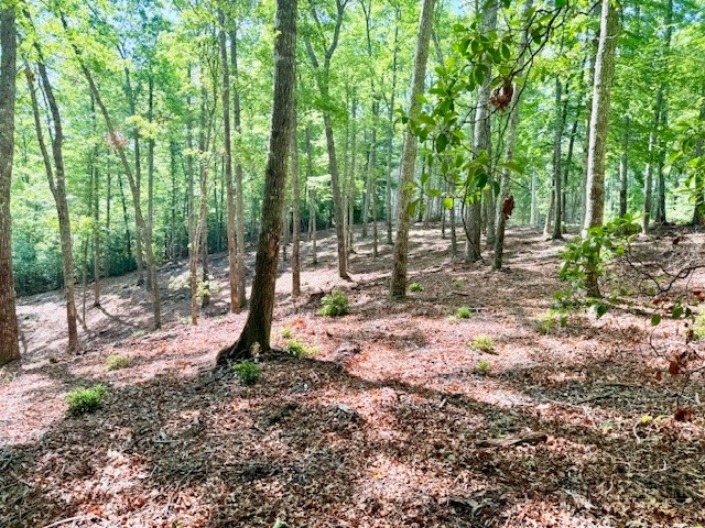 Lot 42 Smoke Rise Path West Jefferson, NC 28694 - Photo 7 of 9
