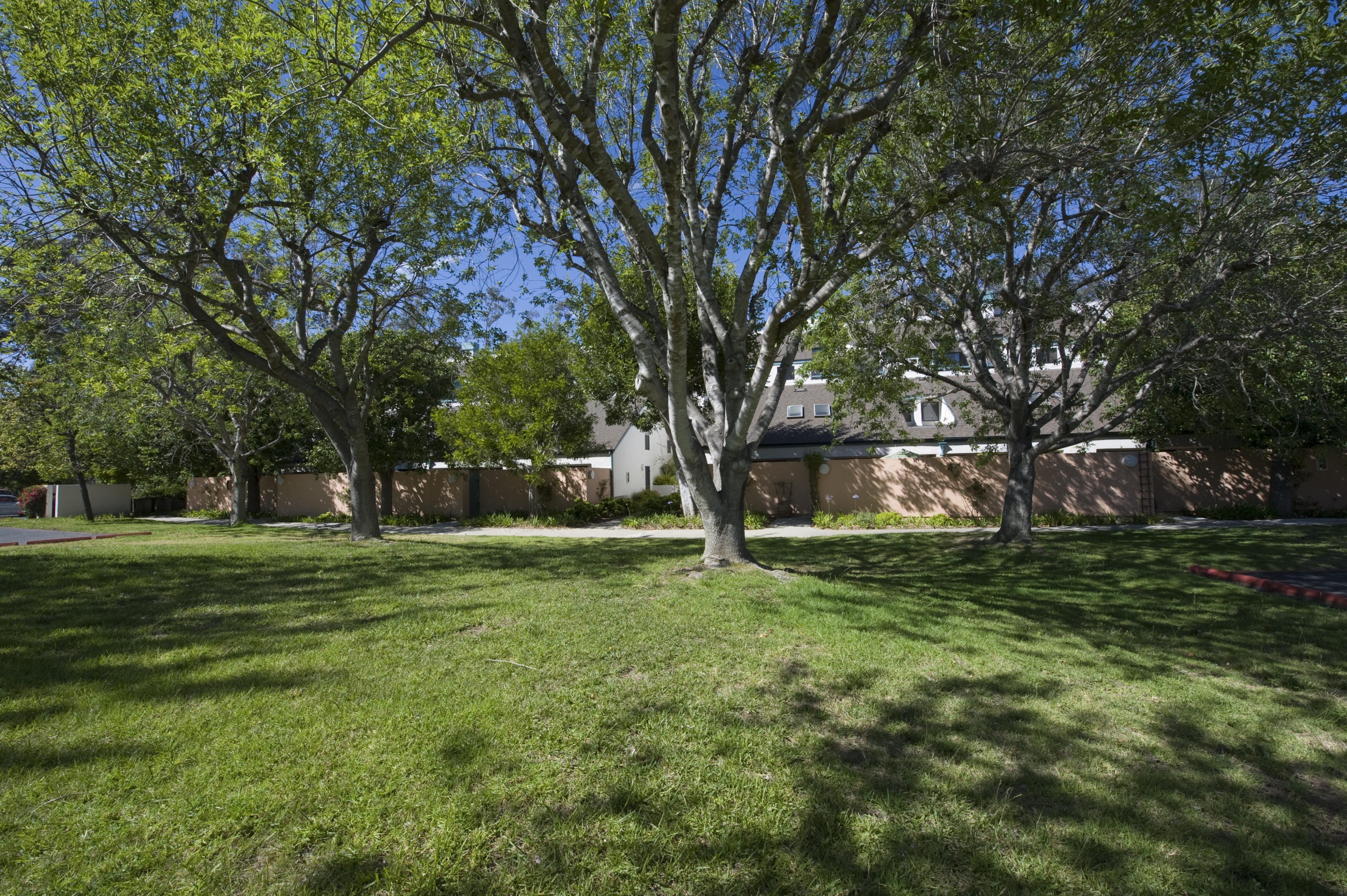 3558 Modoc Road, Unit 37 Santa Barbara, CA 93105 - Photo 12 of 12 a view of a trees in a yard