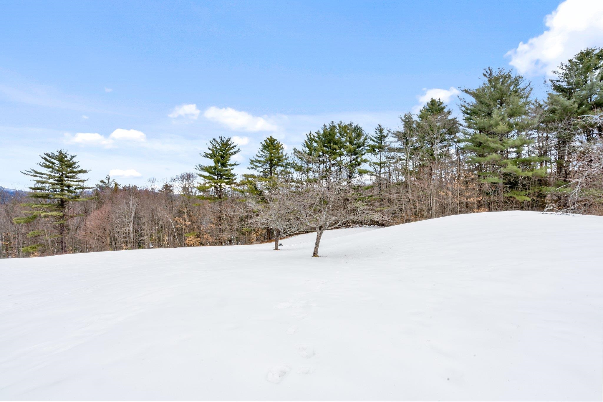 52 Cass Mill Road Hill, NH 03243 - Photo 29 of 39