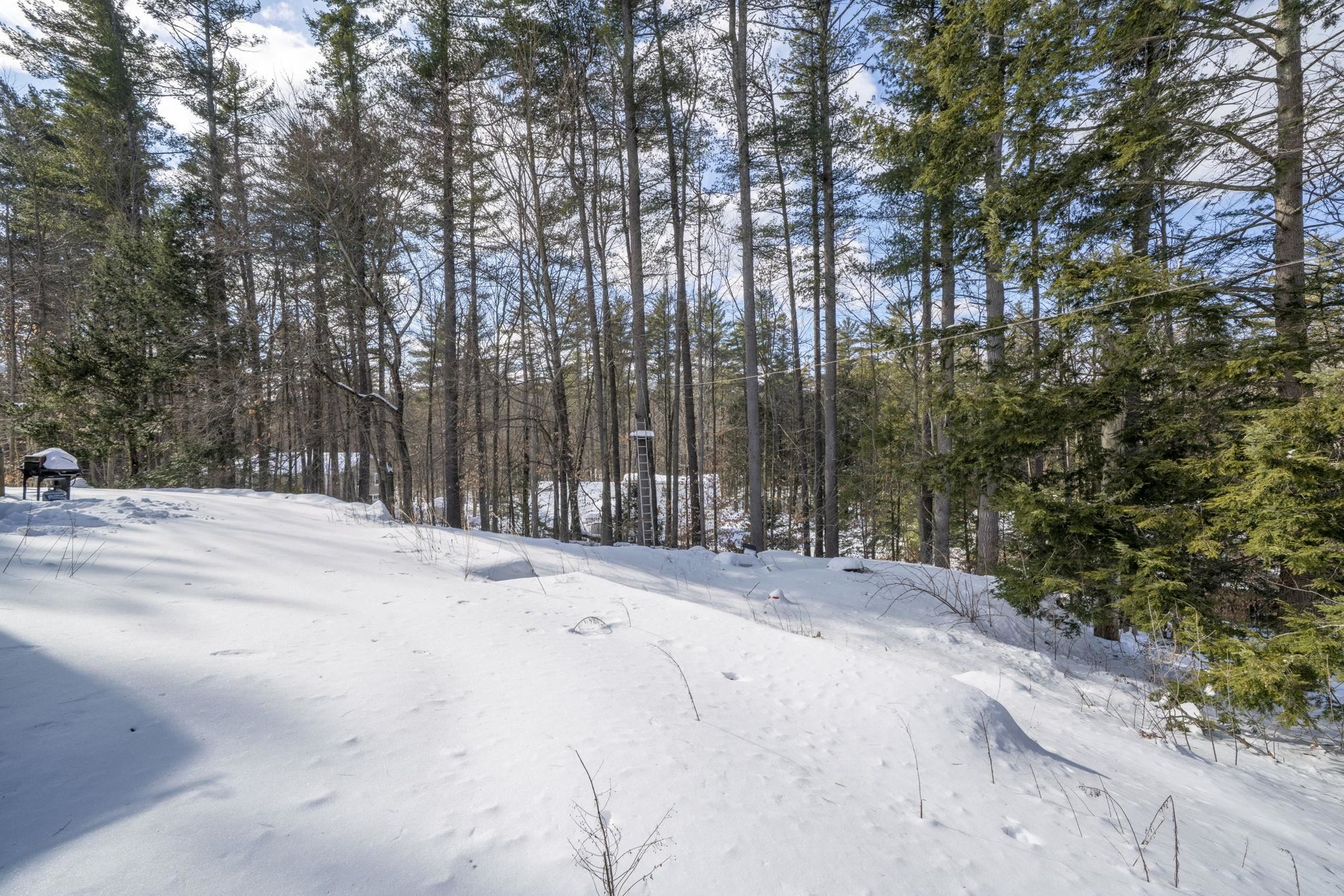 27 Webb Road Peterborough, NH 03458 - Photo 44 of 44