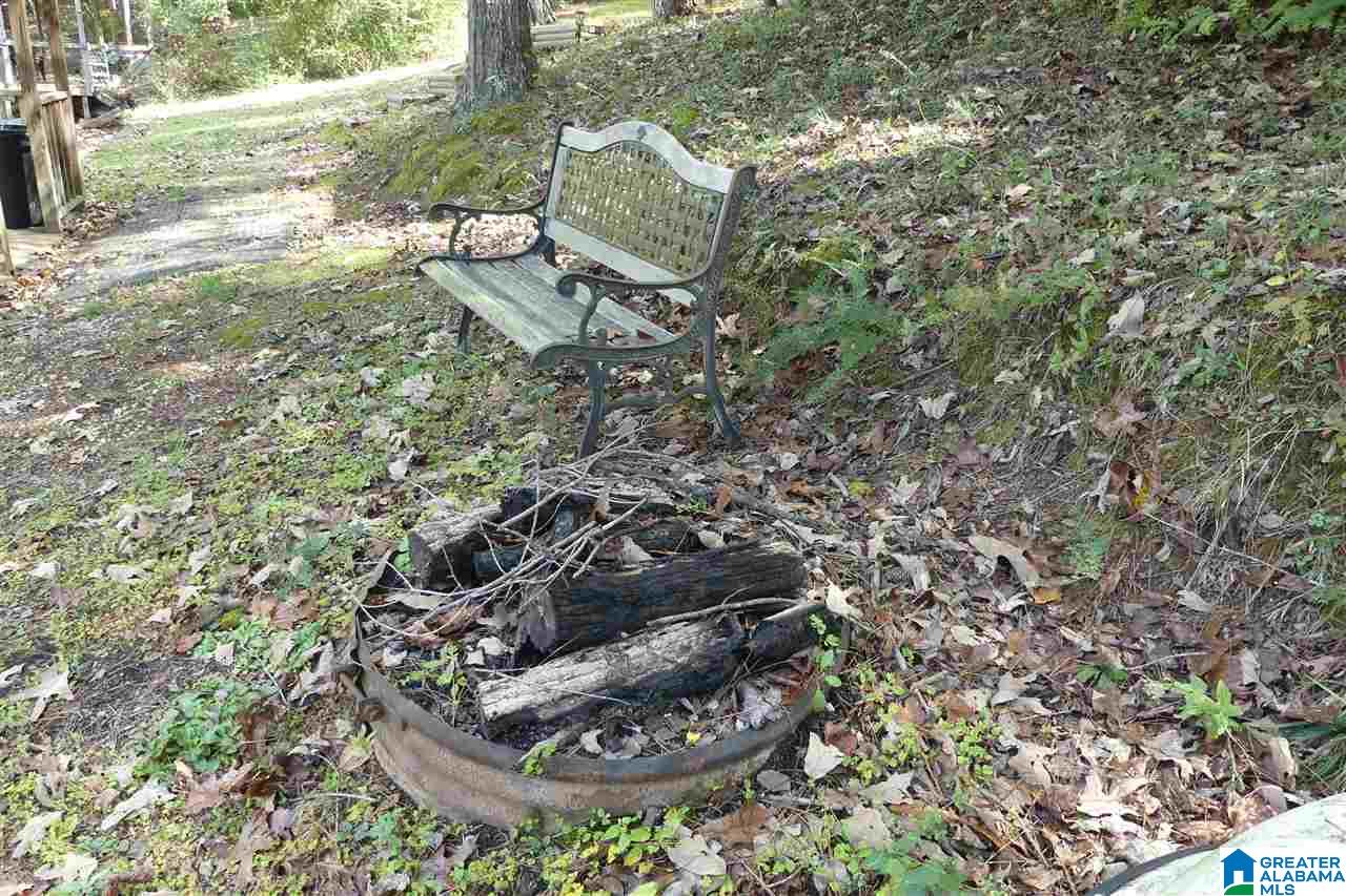 154 Walnut Street Wedowee, AL 36278 - Photo 38 of 49