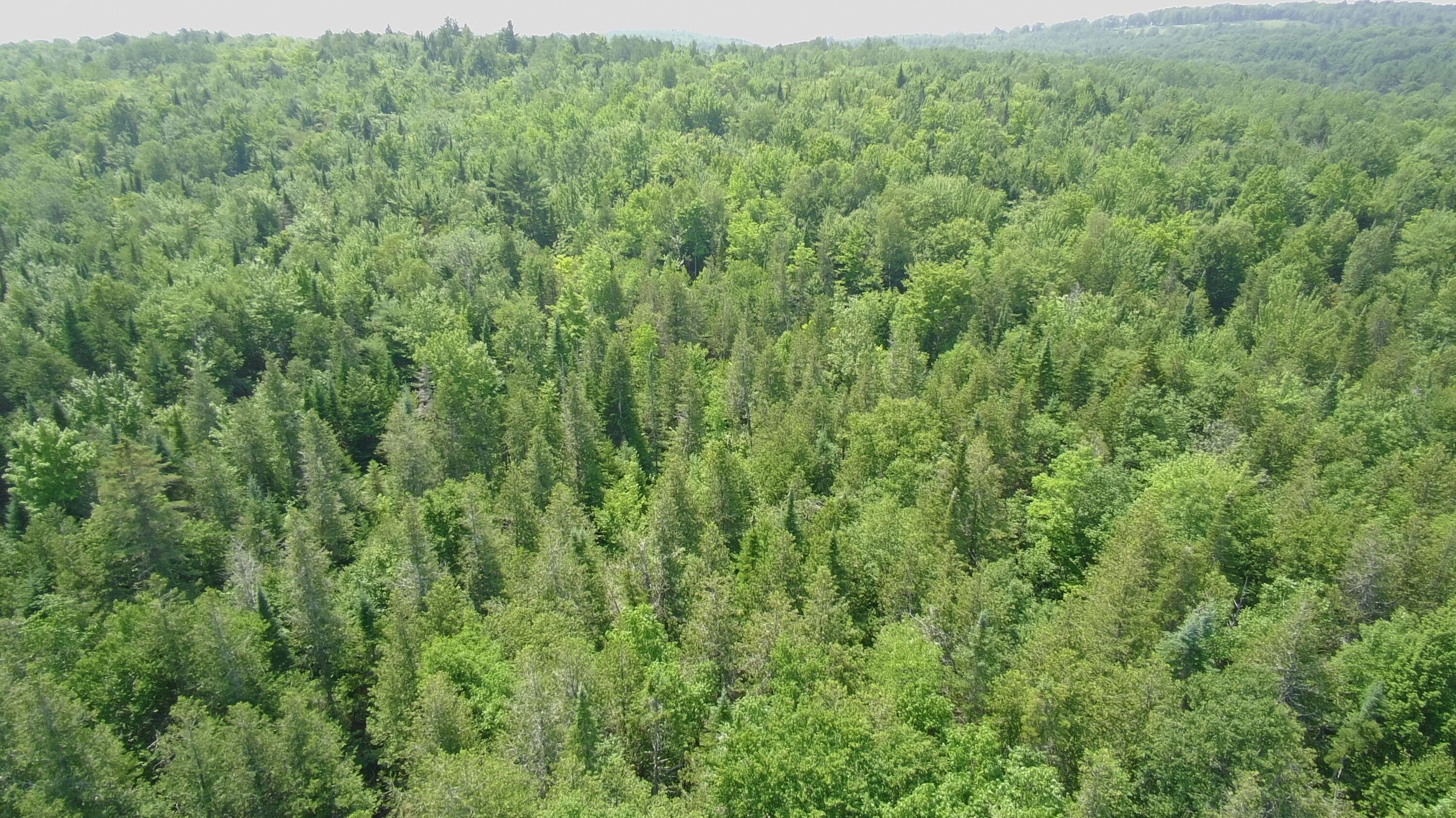 266 Crow Hill Road Parkman, ME 04443 - Photo 58 of 65 5094047_100DRONE_SING0123