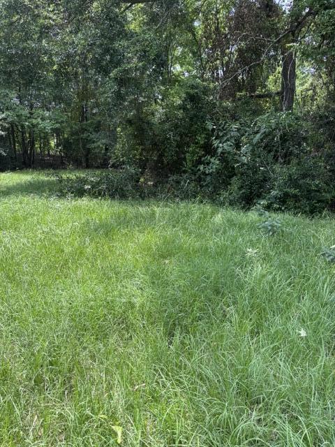 860 Pitts Road Sumter, SC 29154 - Photo 4 of 4