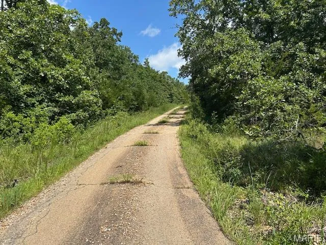 $62,500 | 1 Private Road 9516, Fredericktown, MO 63645
