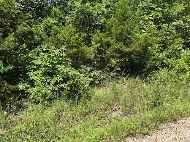 $62,500 | 1 Private Road 9516, Fredericktown, MO 63645