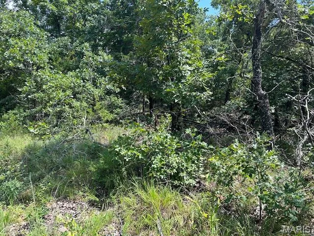 $62,500 | 1 Private Road 9516, Fredericktown, MO 63645