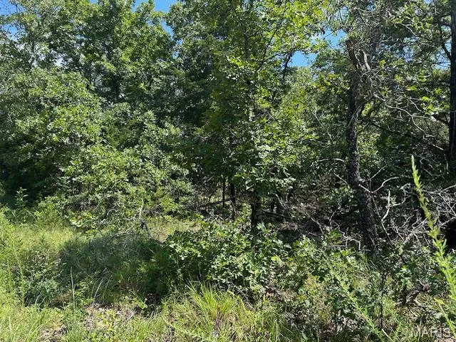 $62,500 | 1 Private Road 9516, Fredericktown, MO 63645
