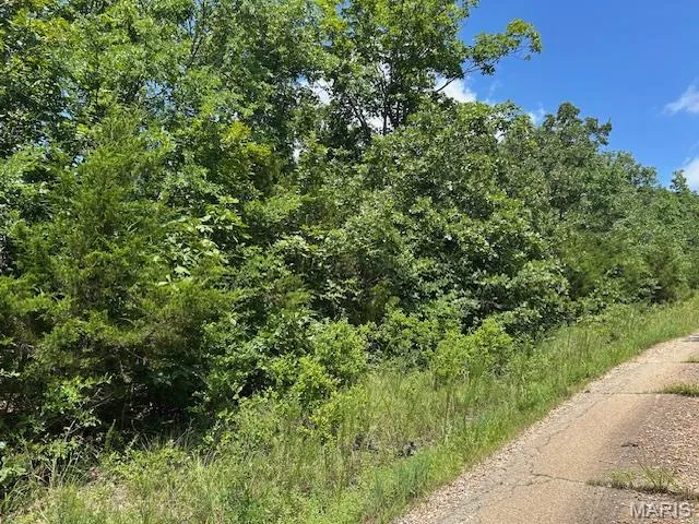 $62,500 | 1 Private Road 9516, Fredericktown, MO 63645