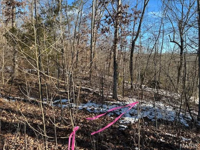 $62,500 | 1 Private Road 9516, Fredericktown, MO 63645