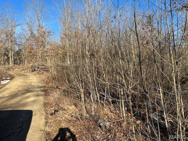 $62,500 | 1 Private Road 9516, Fredericktown, MO 63645