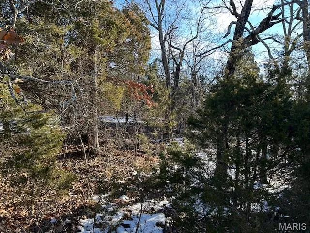 $62,500 | 1 Private Road 9516, Fredericktown, MO 63645