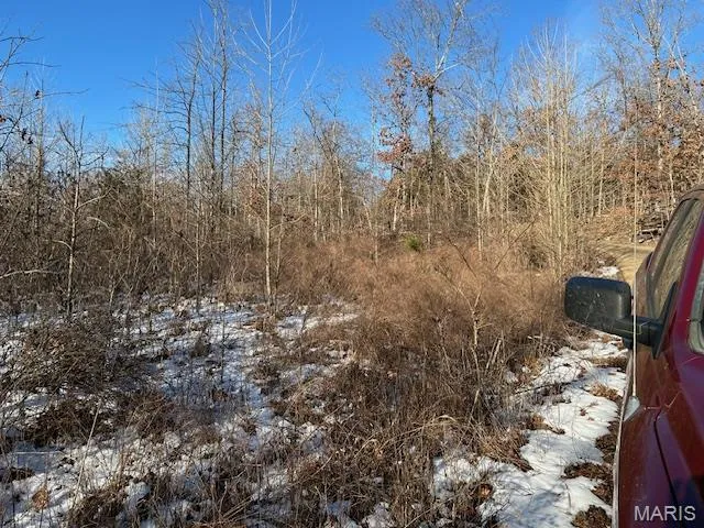 $62,500 | 1 Private Road 9516, Fredericktown, MO 63645