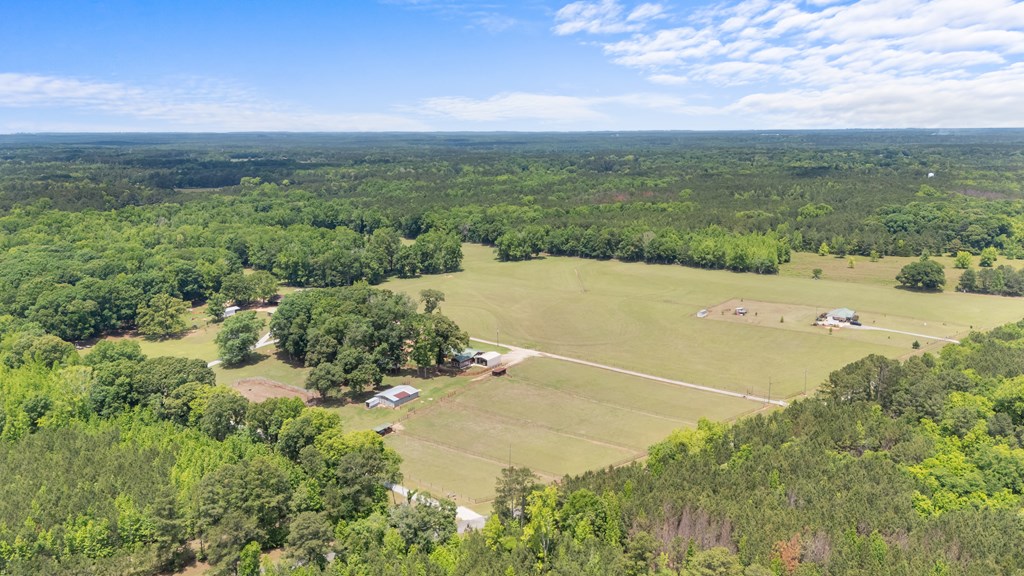 186 Beech Springs Road Pine Mountain, GA 31822 - Photo 8 of 59