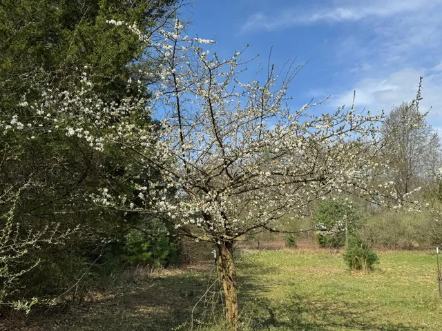 $895,000 | 3525 3 1/2 Mile Road, Athens, MI 49011