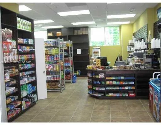 a park with palm trees