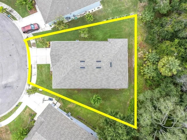 a view of a lush green forest