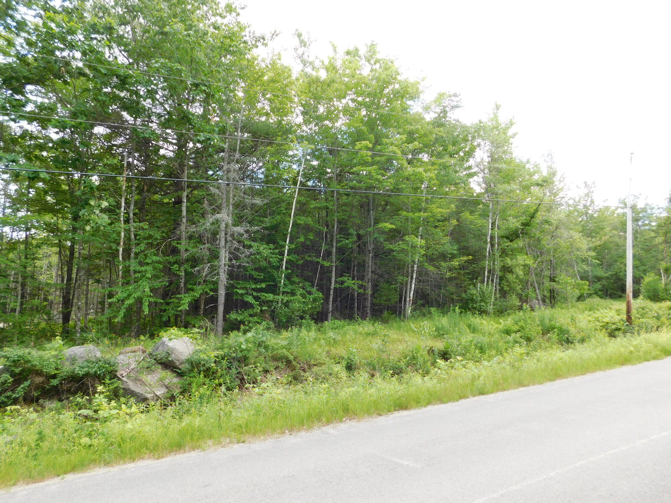 Lot 2 Old Belfast Road Frankfort, ME 04438 - Photo 4 of 9 4 (1)