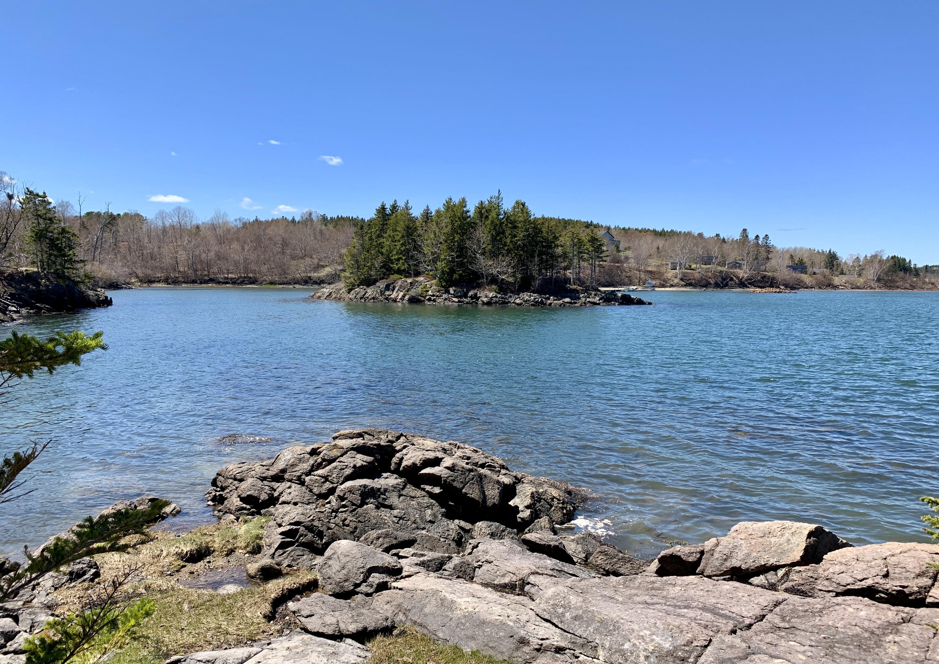 20 Harris Point Road Eastport, ME 04631 - Photo 23 of 33 20 Harris Point Eastport rocky outcrop