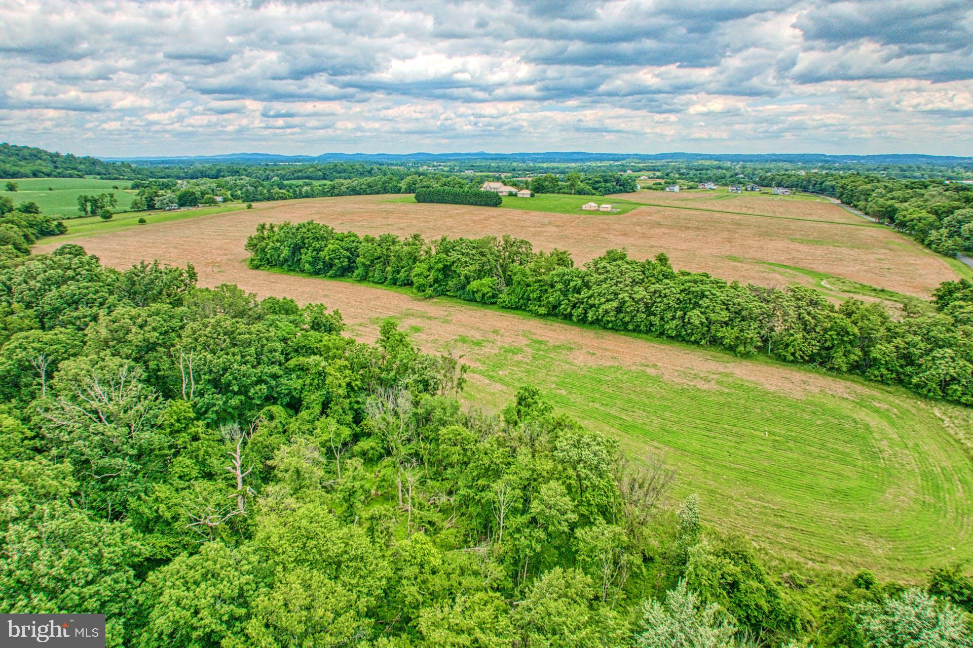 16571 Hillsboro Road Purcellville, VA 20132 - Photo 52 of 56