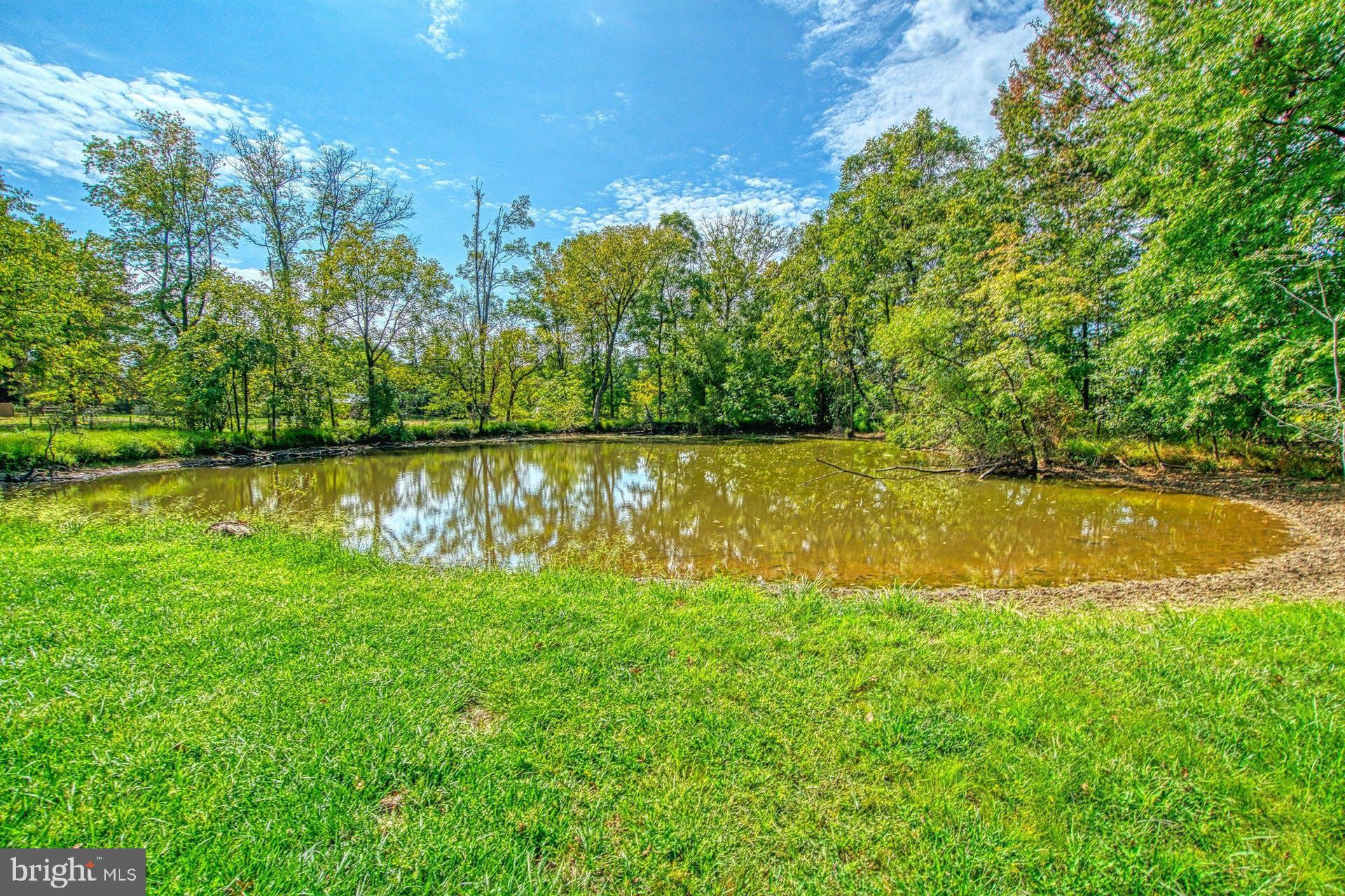 16571 Hillsboro Road Purcellville, VA 20132 - Photo 54 of 56
