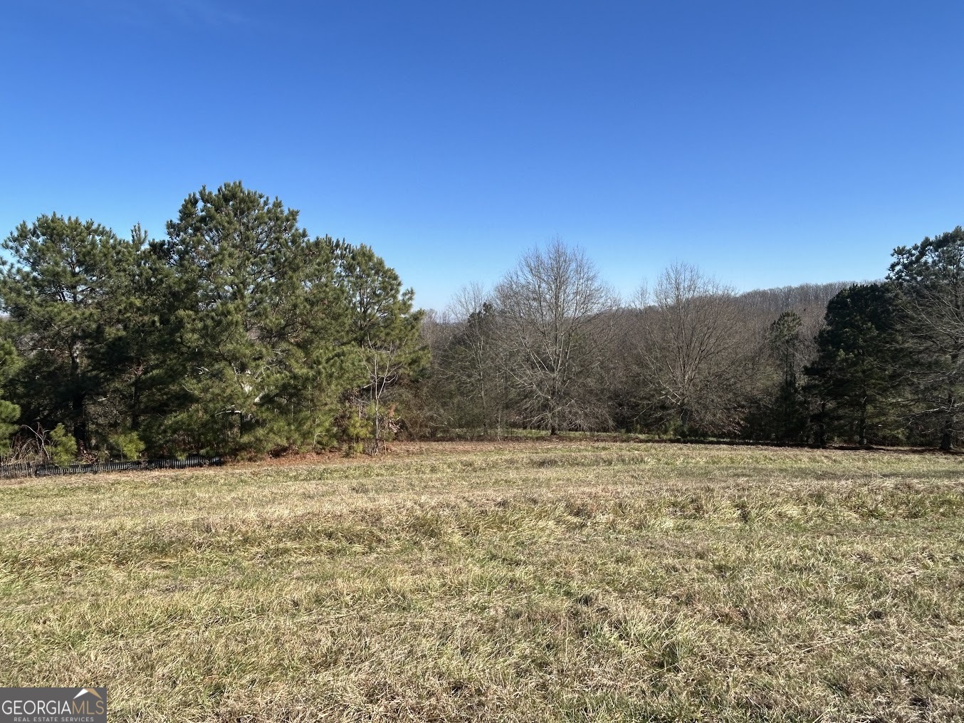 85 Blackjack Mountain Road Bowdon, GA 30108 - Photo 15 of 32 a view of a yard with a tree