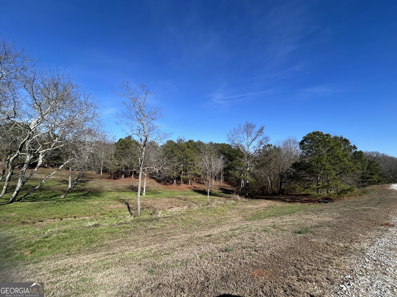 85 Blackjack Mountain Road Bowdon, GA 30108 - Photo 19 of 32 a view of a park with large trees