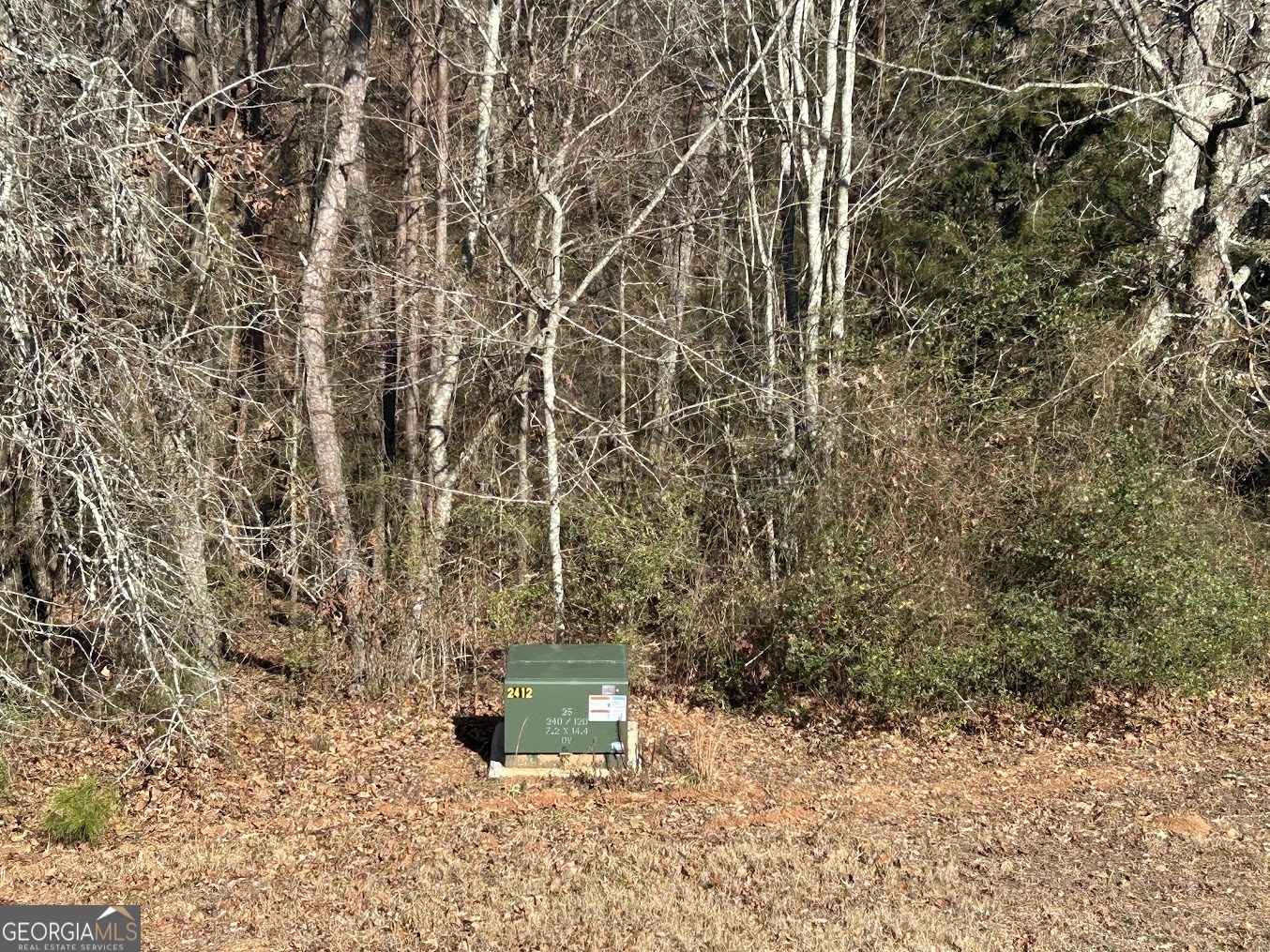 85 Blackjack Mountain Road Bowdon, GA 30108 - Photo 20 of 32 a view of a yard with wooden fence