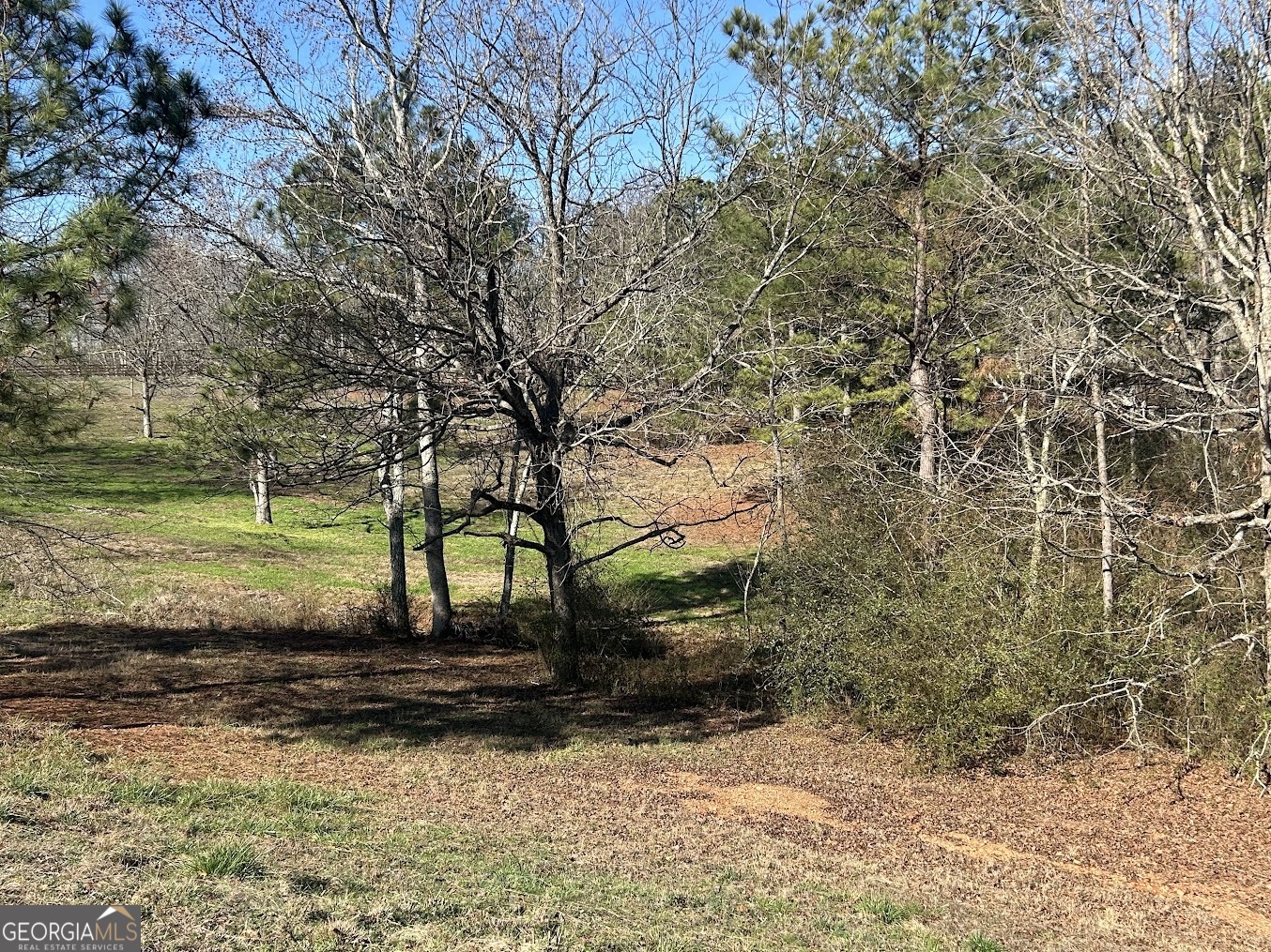 85 Blackjack Mountain Road Bowdon, GA 30108 - Photo 21 of 32 a view of a yard with a tree