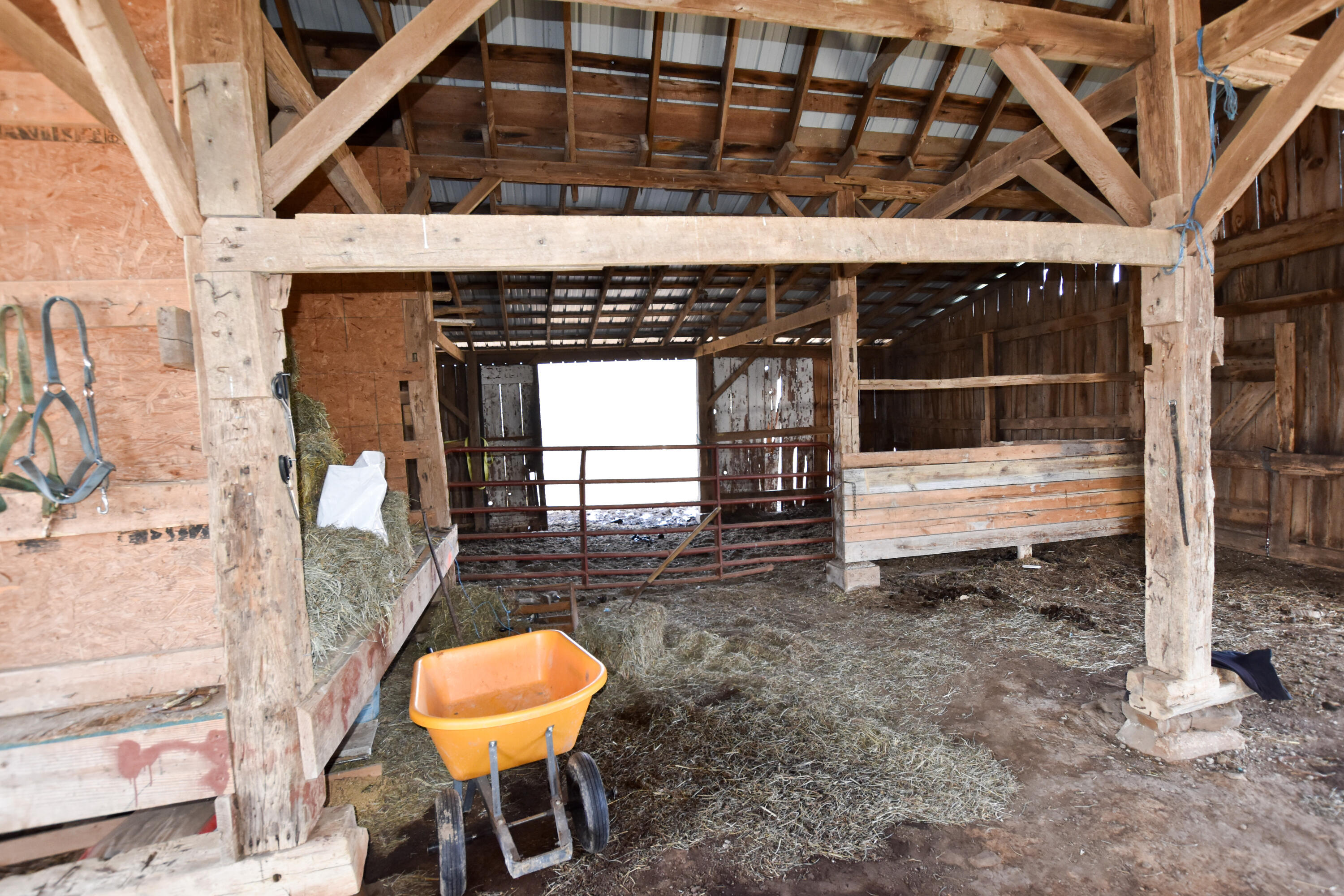 965 Oakridge Road Vanceburg, KY 41179 - Photo 55 of 97 DSC_0051