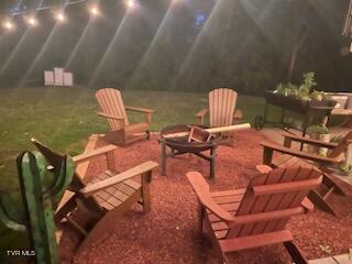 217 Echo Drive Greeneville, TN 37743 - Photo 41 of 44 IMG_0649