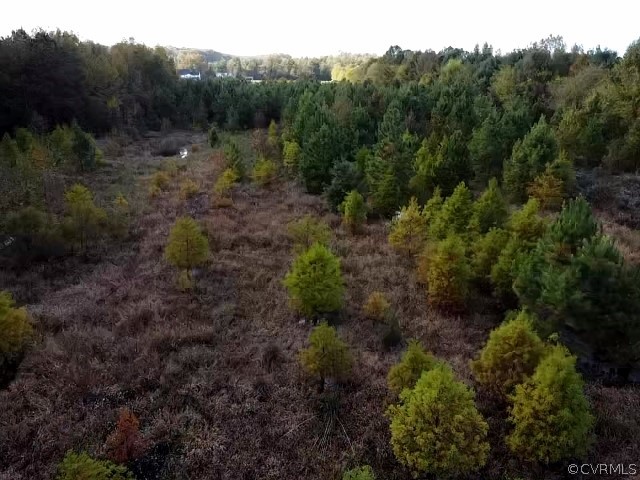 7125 Dundee Estates Road Hanover, VA 23069 - Photo 14 of 22 Gallery Image 14