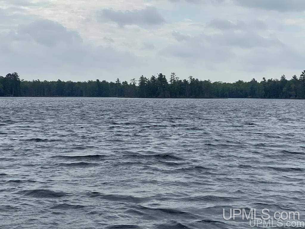 E16871 Nevins Lake Road Shingleton, MI 49884 - Photo 4 of 35