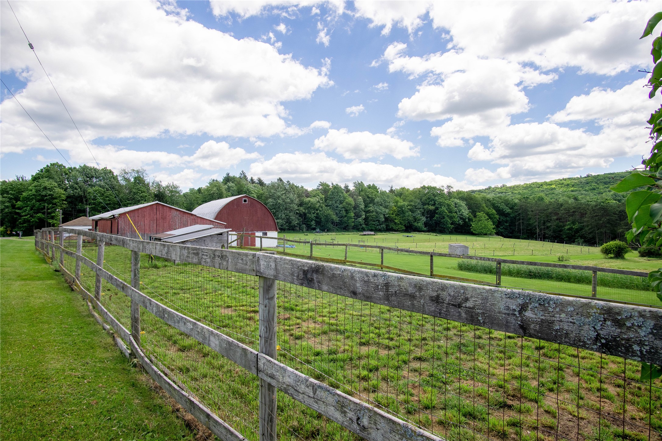 910 Rhodes Road Apalachin, NY 13732 - Photo 46 of 50
