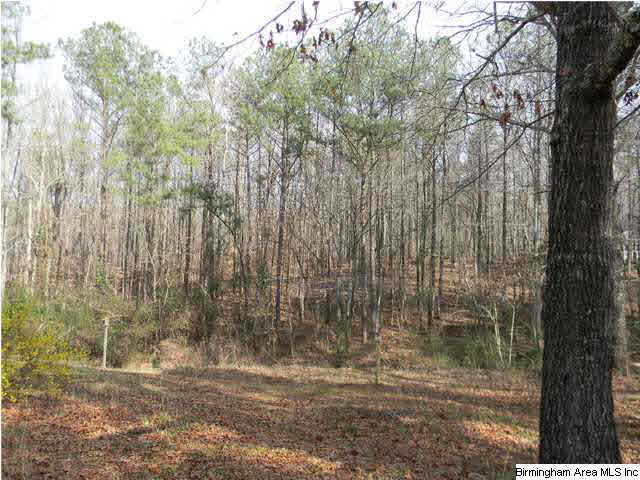 3901 Dodd Road Birmingham, AL 35244 - Photo 2 of 18