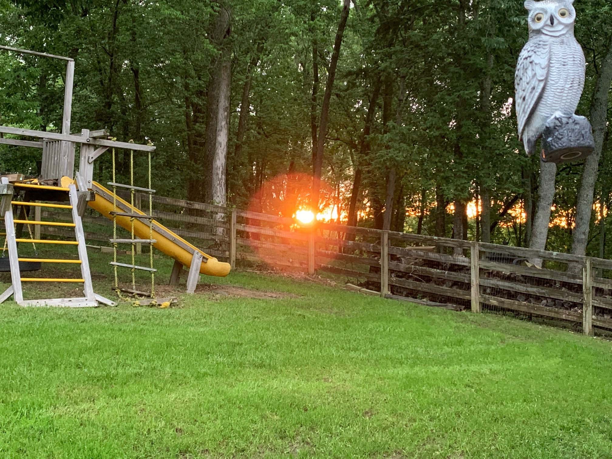 1741 Dean Road Thompson's Station, TN 37179 - Photo 38 of 54 a view of a house with a yard and stairs