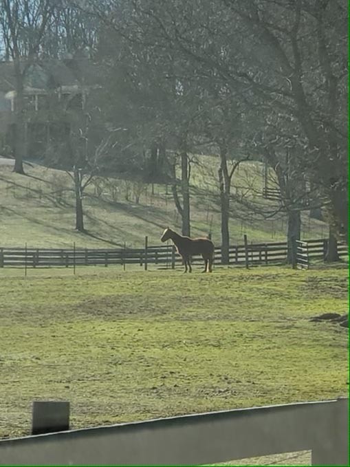 1741 Dean Road Thompson's Station, TN 37179 - Photo 49 of 54 a view of a lake view