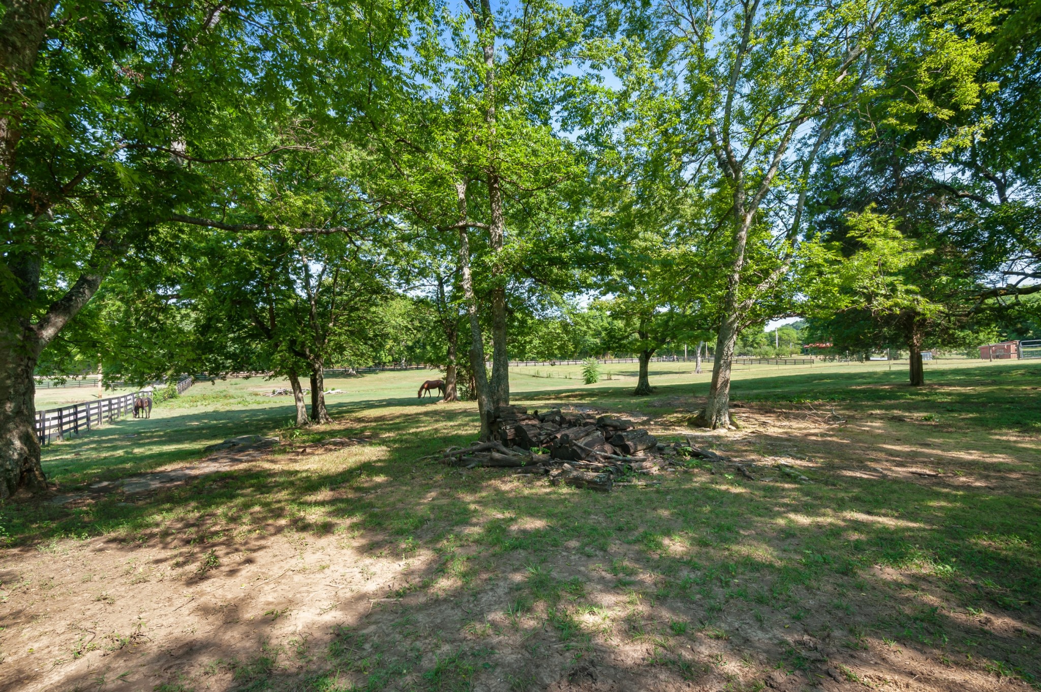 1741 Dean Road Thompson's Station, TN 37179 - Photo 50 of 54 a view of a park with a tree