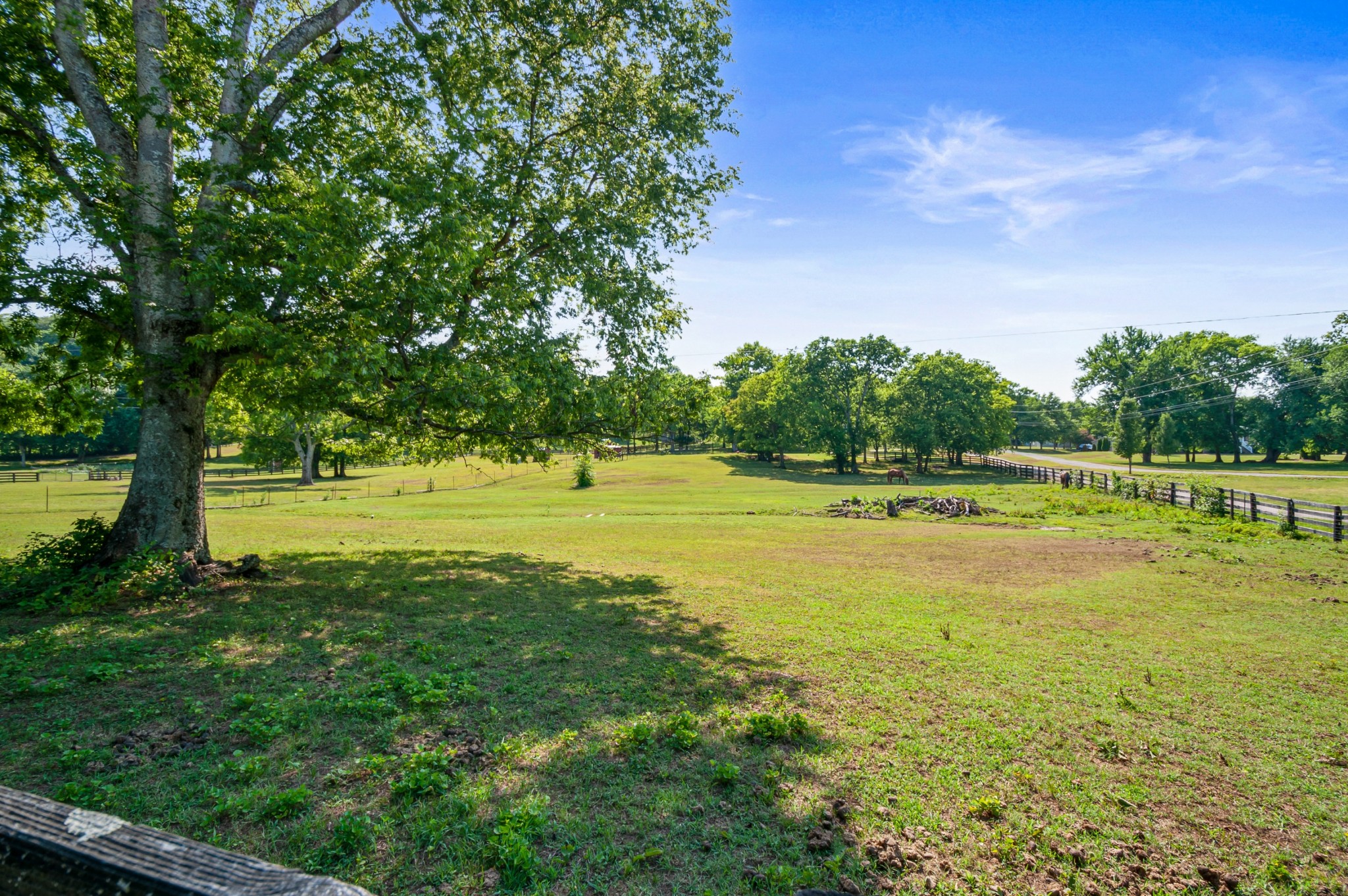 1741 Dean Road Thompson's Station, TN 37179 - Photo 51 of 54 a view of a swimming pool with a big yard and large trees