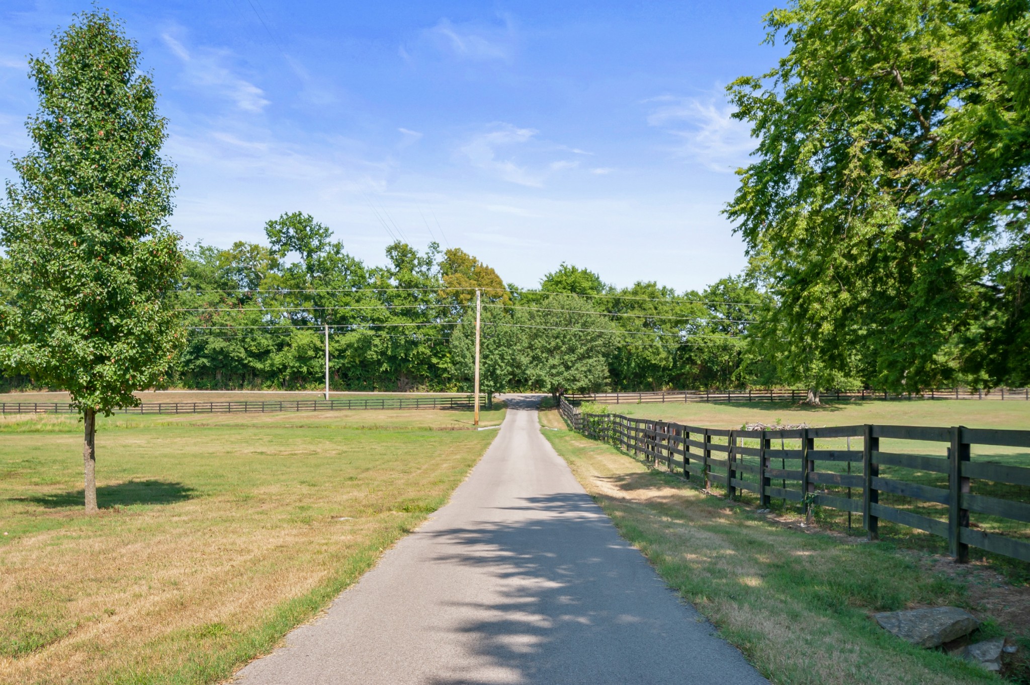 1741 Dean Road Thompson's Station, TN 37179 - Photo 53 of 54 a view of a swimming pool with a garden and trees