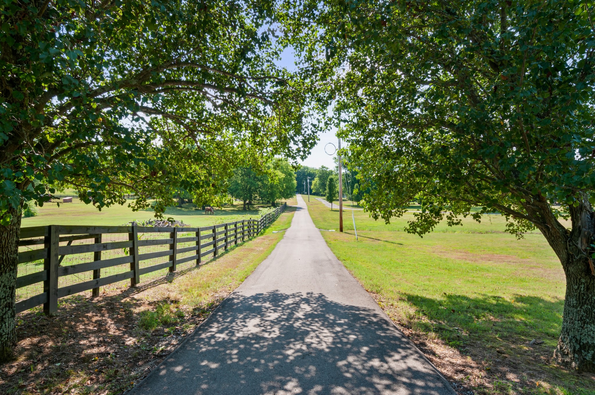 1741 Dean Road Thompson's Station, TN 37179 - Photo 54 of 54 a view of outdoor space and yard