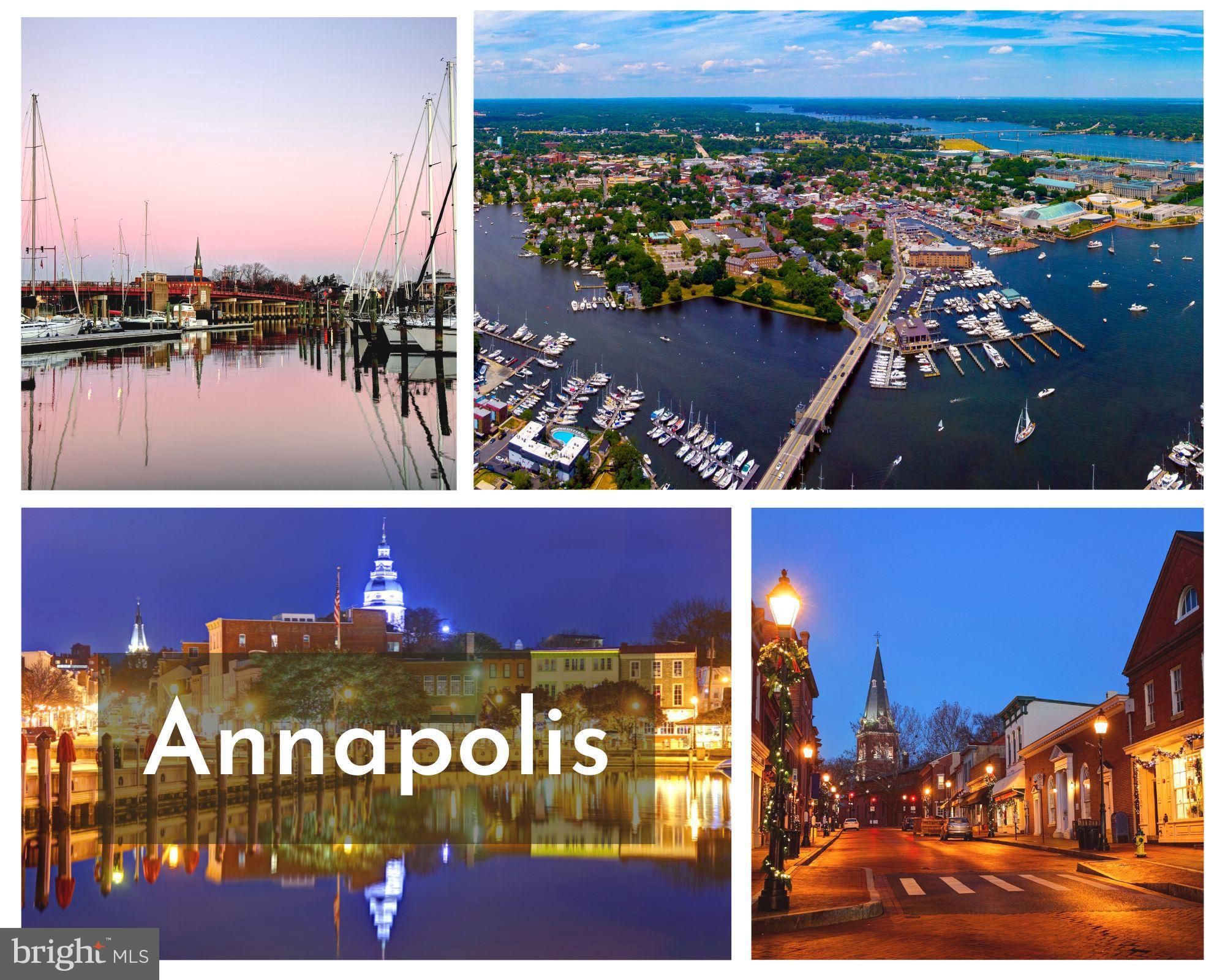 4149 Shoreham Beach Road Edgewater, MD 21037 - Photo 3 of 73