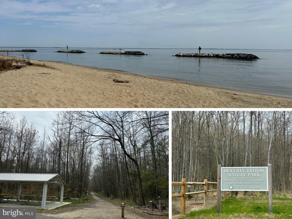 4149 Shoreham Beach Road Edgewater, MD 21037 - Photo 72 of 73 Bevery Triton Park