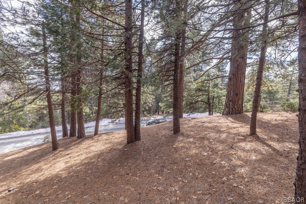 0 Circle View Drive Running Springs, CA 92382 - Photo 4 of 6 a view of a forest with trees
