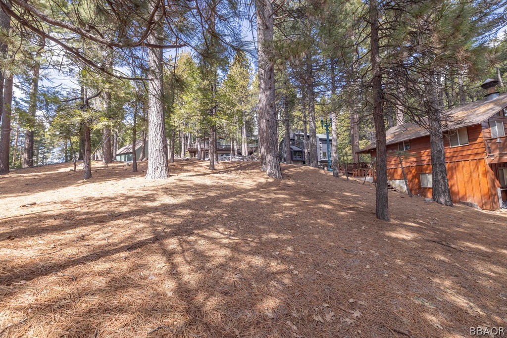 0 Circle View Drive Running Springs, CA 92382 - Photo 5 of 6 a backyard of a house with large trees