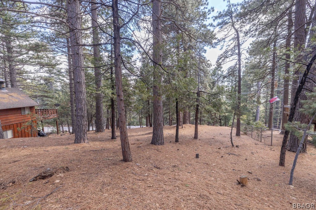 0 Circle View Drive Running Springs, CA 92382 - Photo 6 of 6 a view of outdoor space with trees
