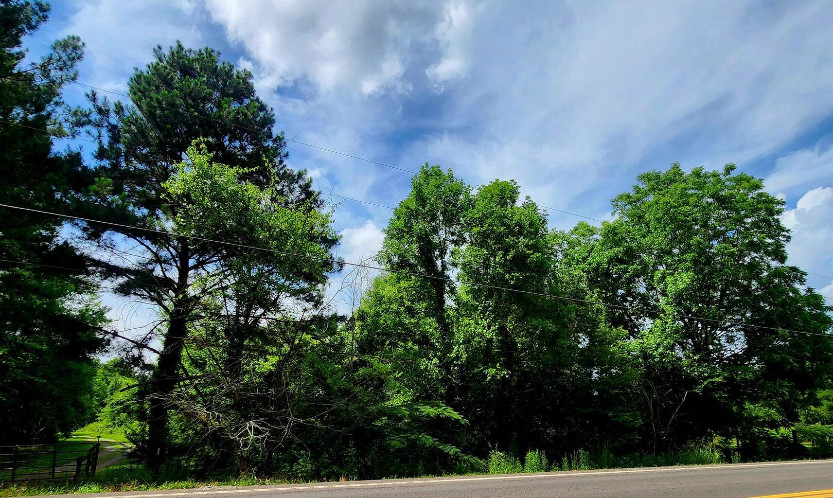 0 River Road, Unit 25 Decatur, TN 37322 - Photo 6 of 8 25 7