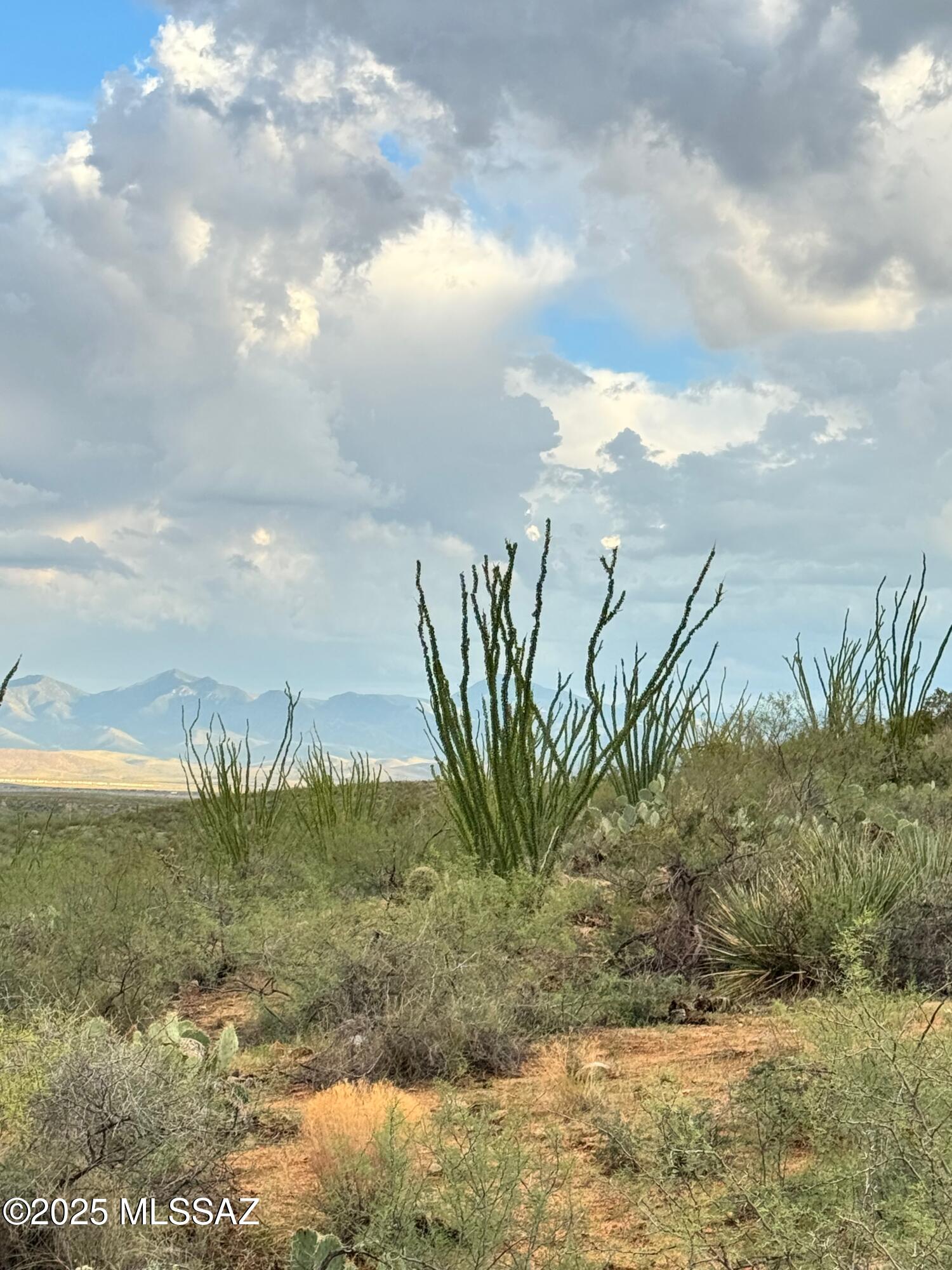 0 Justa Road Vail, AZ 85641 - Photo 12 of 44