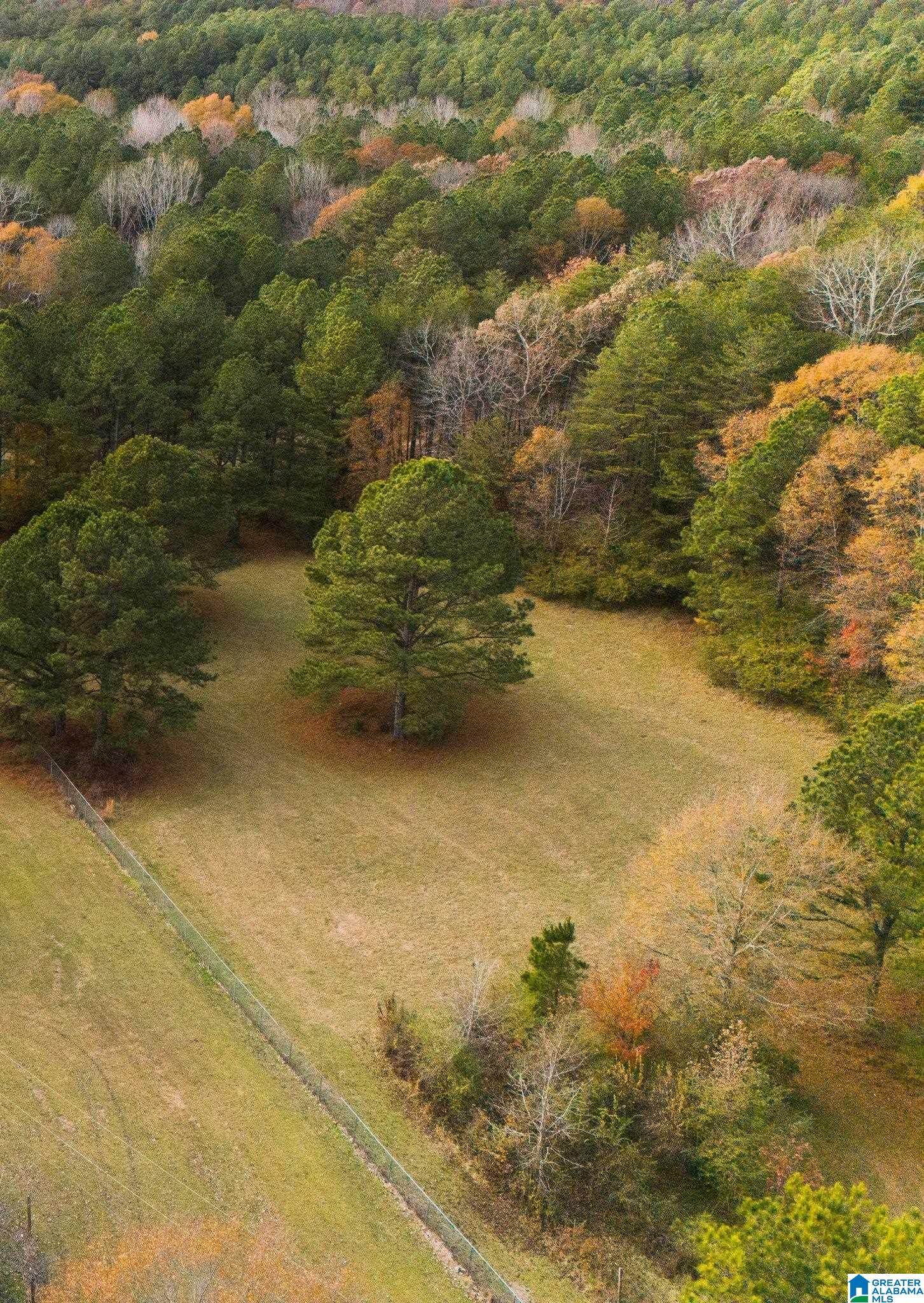 1533 Campbell Loop Road Mount Olive, AL 35117 - Photo 1 of 1
