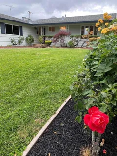 a view of outdoor space yard and patio